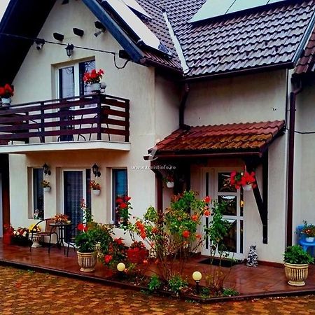Edelweiss Ilinca Apartment Zărneşti Exterior foto
