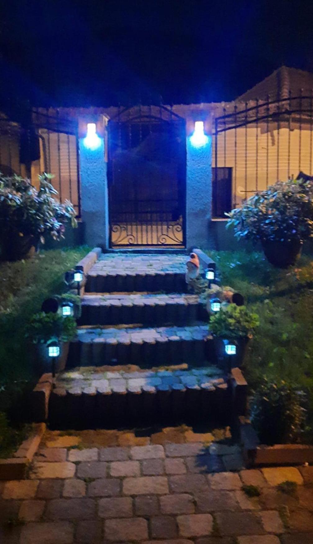 Edelweiss Ilinca Apartment Zărneşti Exterior foto