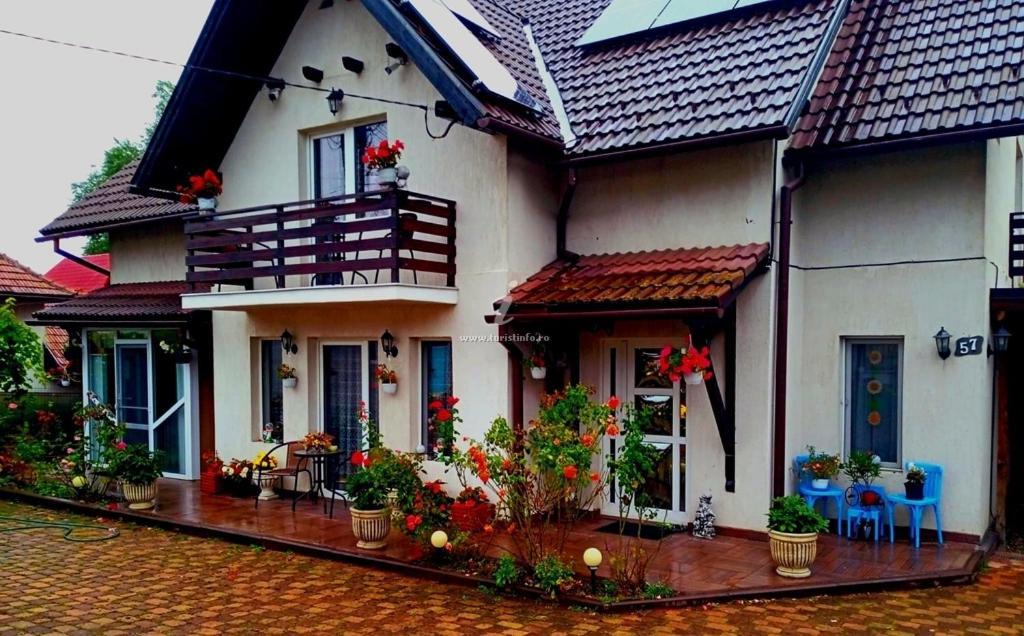 Edelweiss Ilinca Apartment Zărneşti Exterior foto