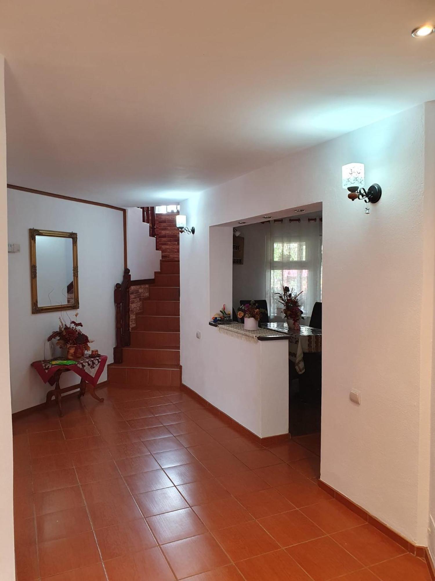 Edelweiss Ilinca Apartment Zărneşti Exterior foto