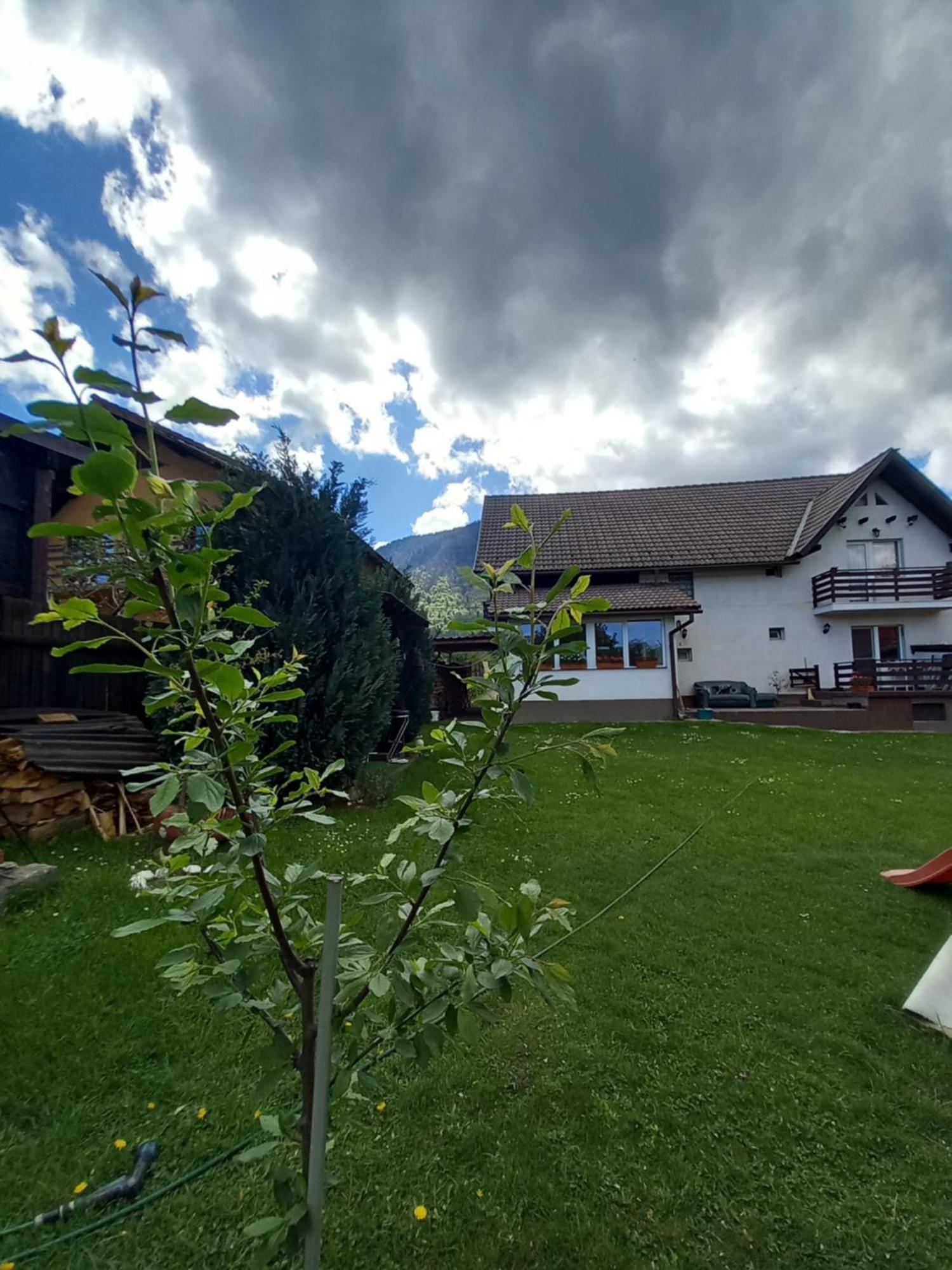 Edelweiss Ilinca Apartment Zărneşti Exterior foto