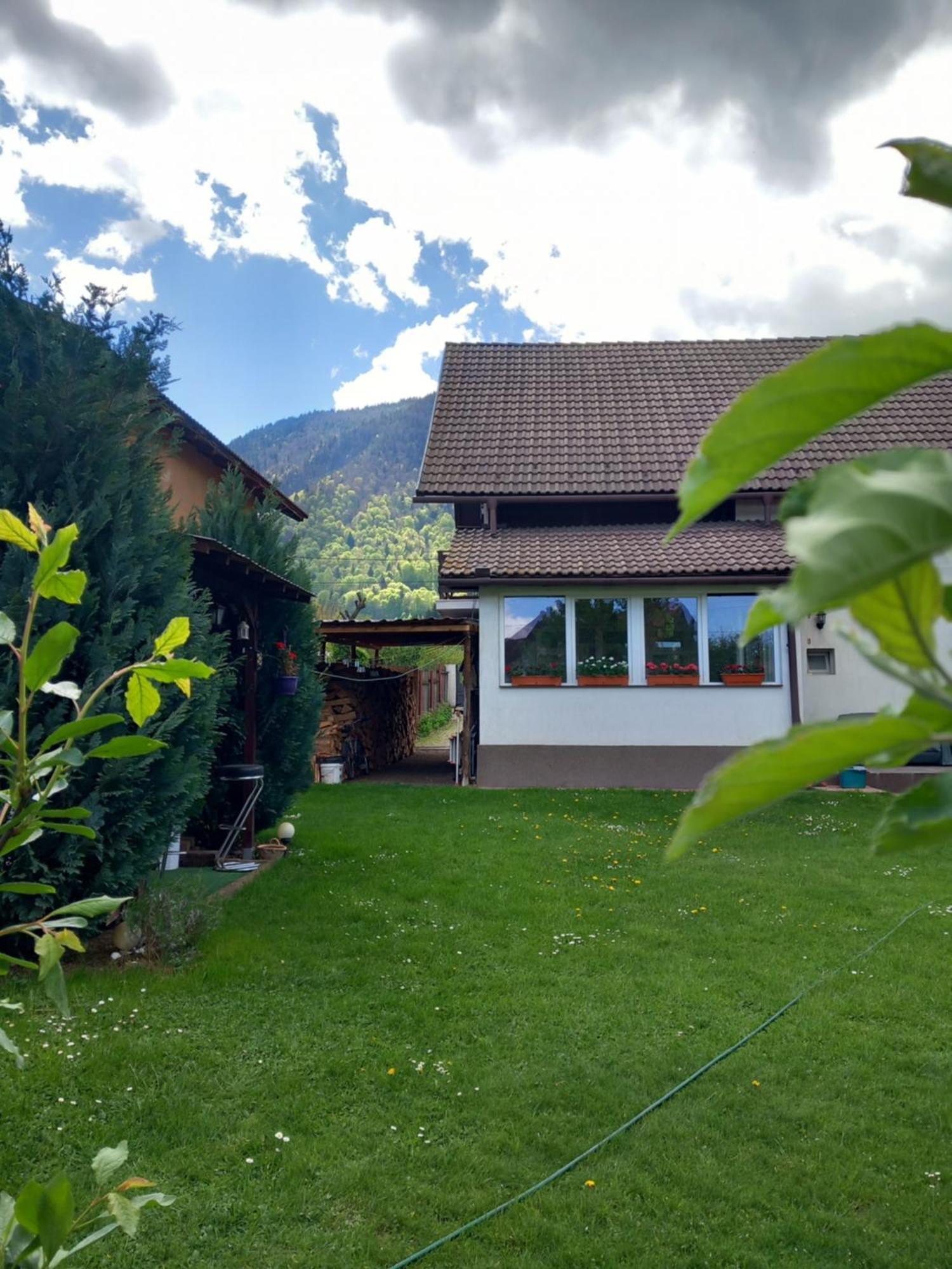 Edelweiss Ilinca Apartment Zărneşti Exterior foto