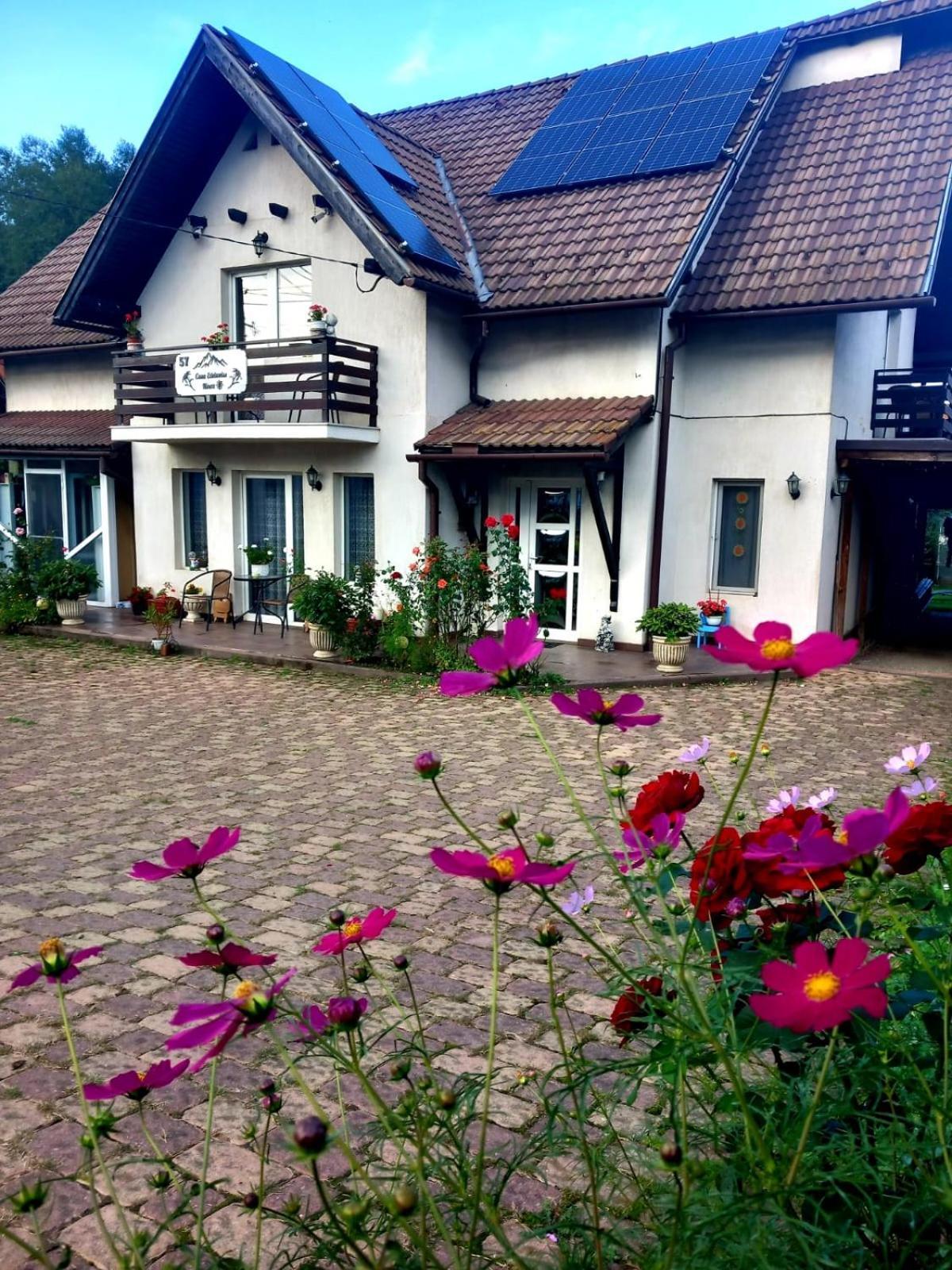 Edelweiss Ilinca Apartment Zărneşti Exterior foto